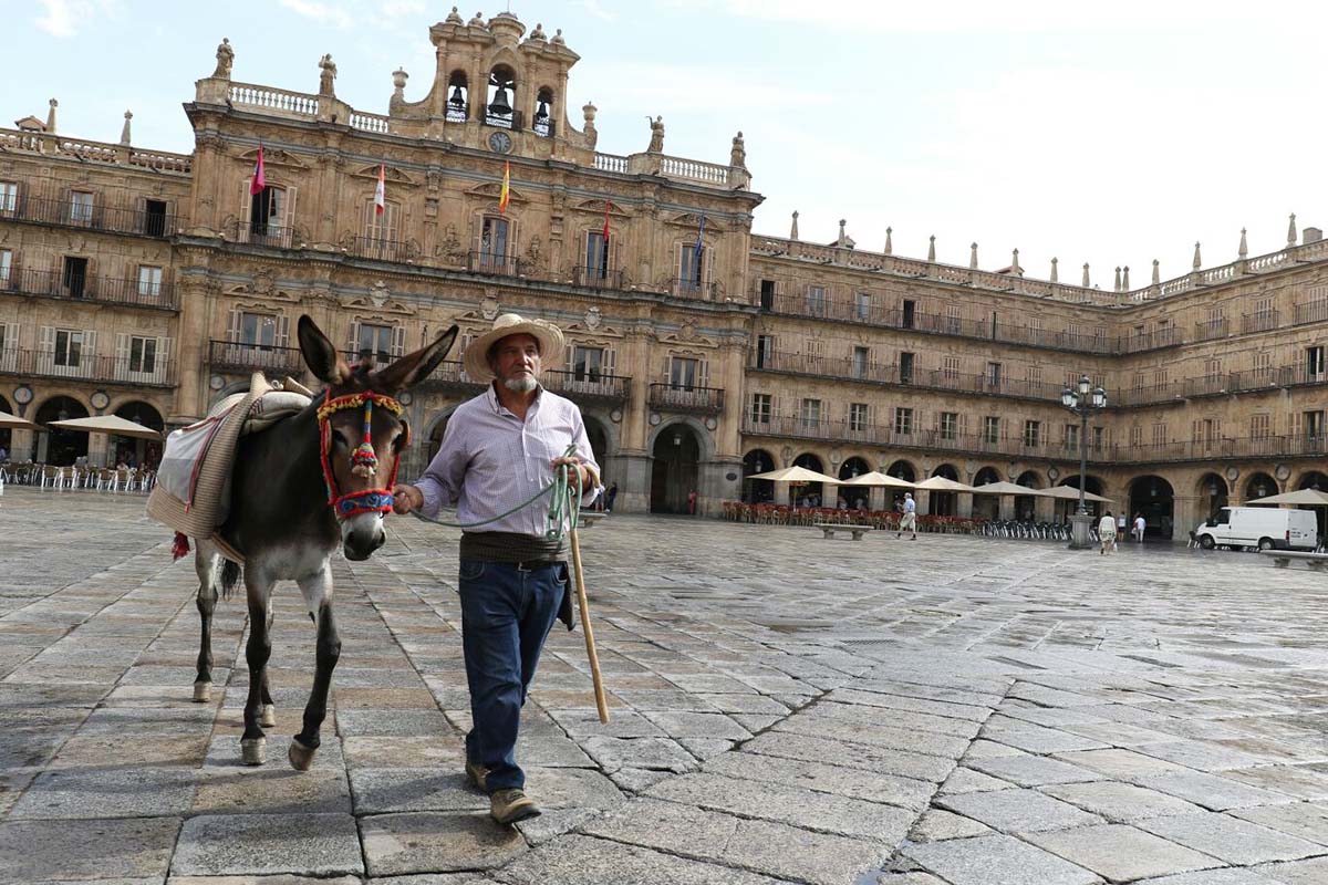 Isidro, junto a Molinera, paseándose por la plaza de Salamanca. Foto cedida por Javier Cuesta (La Gaceta de Salamanca).