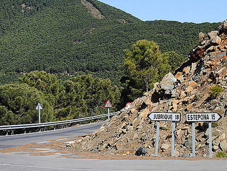 Los hechos han ocurrido en la carretera que comunica Jubrique y Estepona.