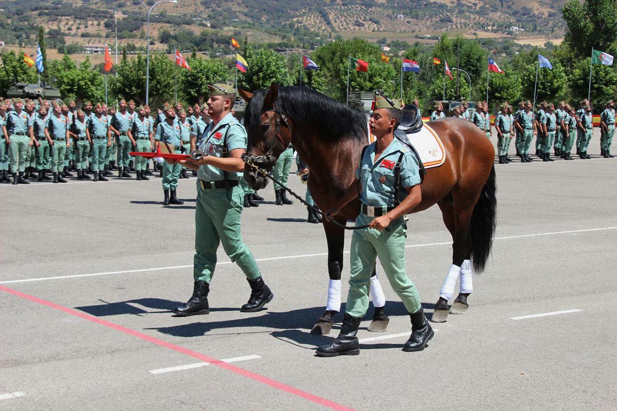 Santiago Apóstol es el patrón del Arma de Caballería.