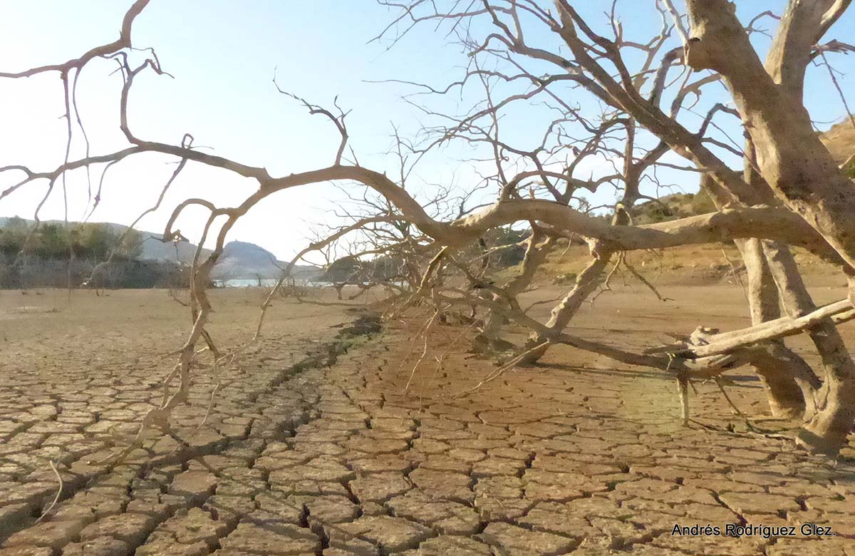 Cabañuelas para la Serranía: «en octubre, de hoja el campo se cubre»