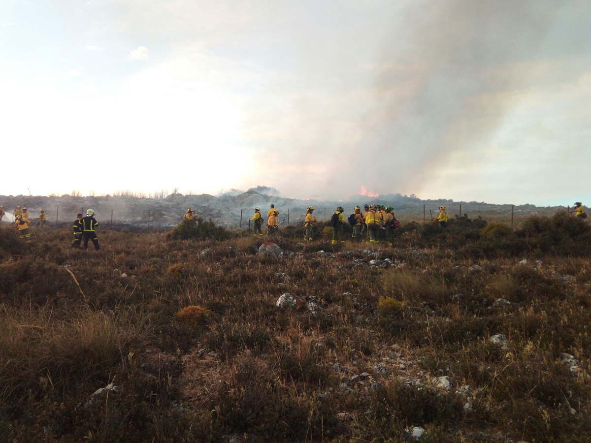 Los efectivos del Plan Infoca y los bomberos han logrado controlar esta madrugada el incendio forestal.