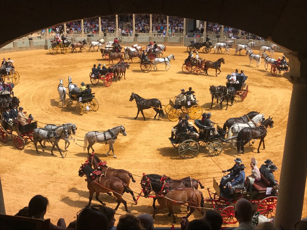 Espectáculo, elegancia y tradición en el XLI Concurso Exhibición de Enganches de Ronda