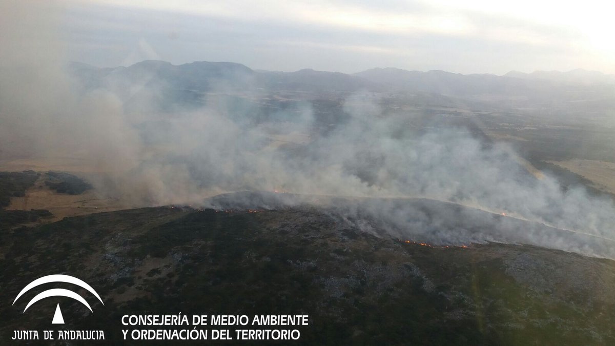 Las llamas afectan a una amplia zona de Las Navetas. Foto Infoca.