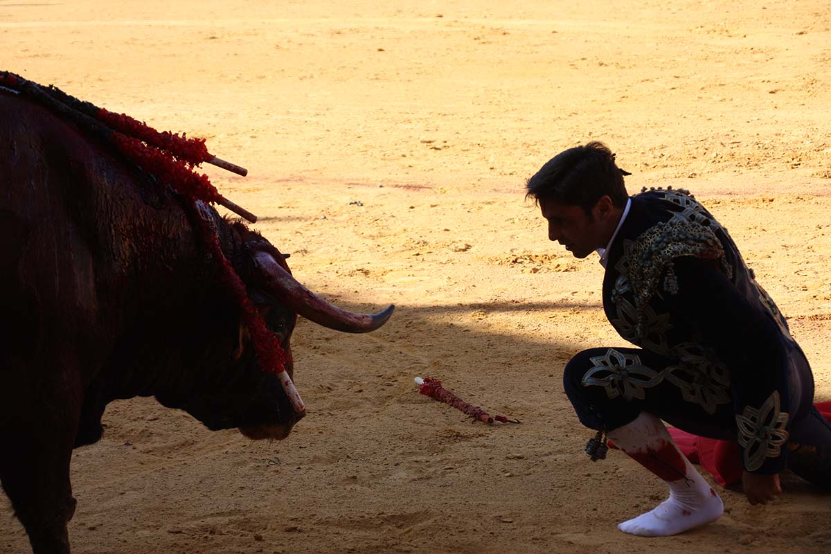 Francisco Rivera Ordóñez mira a los ojos de su primer toro en el día de su despedida de los ruedos. Foto Blas Gil.