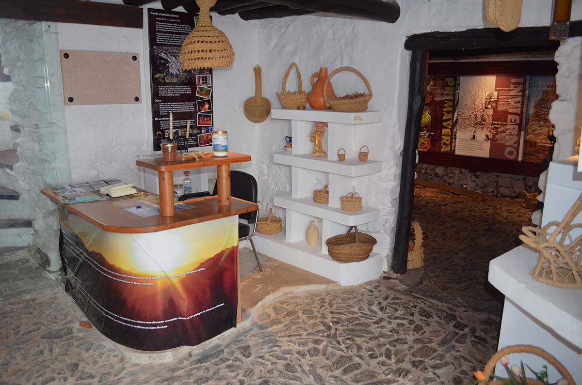 El Museo de la Castaña de Pujerra se convierte en un espacio pionero único en España