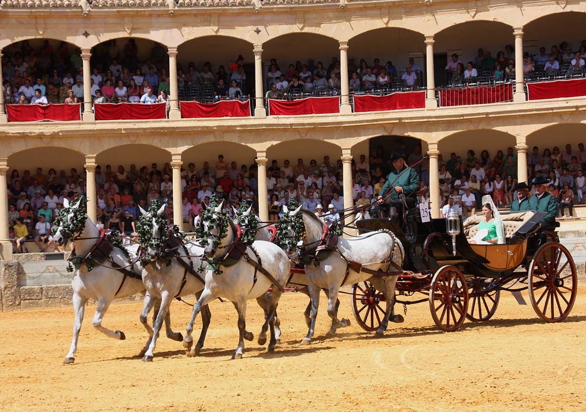 El Concurso Exhibición de Enganches traerá un año más colorido, tradición y elegancia a Ronda
