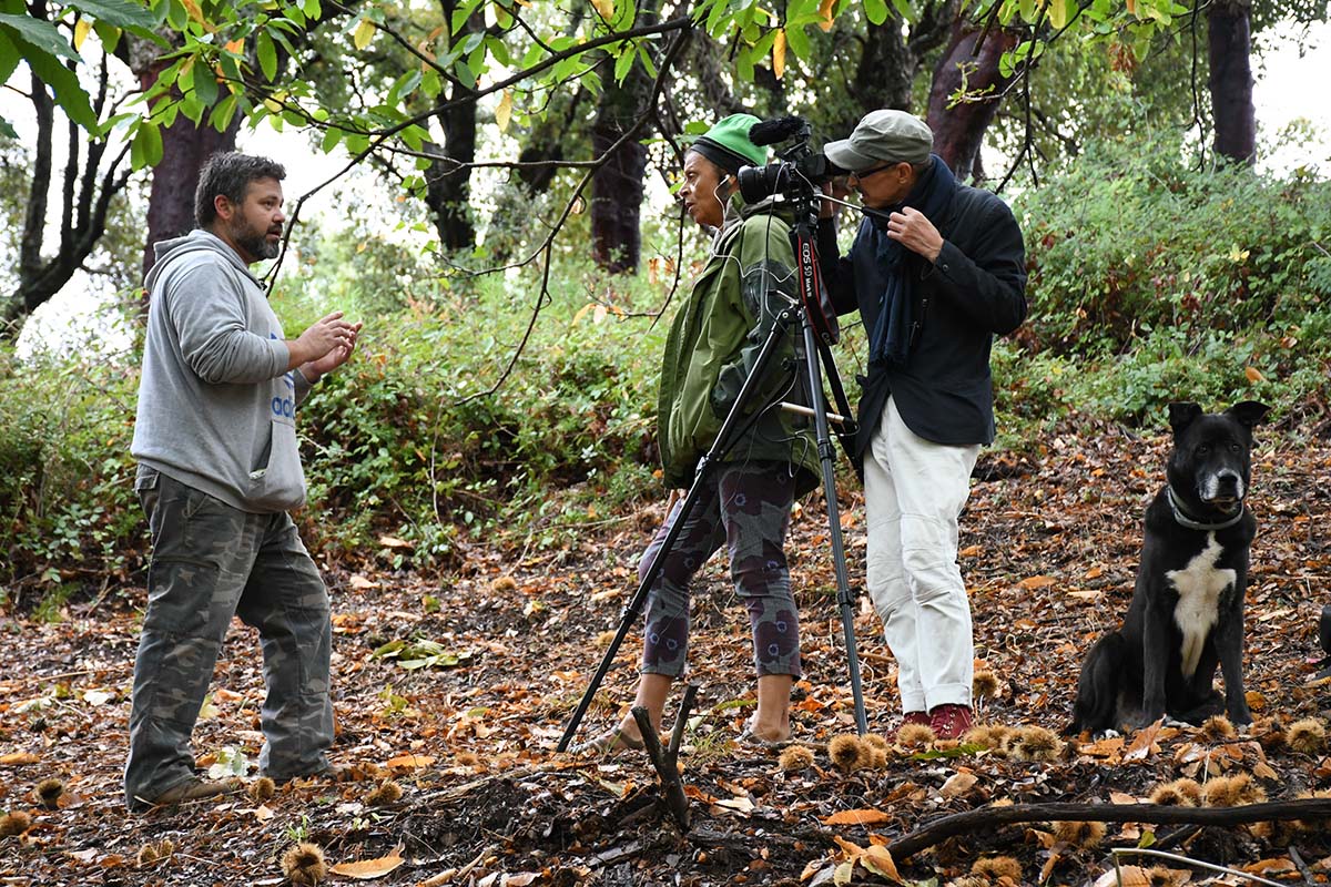 Tomas para un reciente documental que se grabó en los castaños del Valle del Genal.