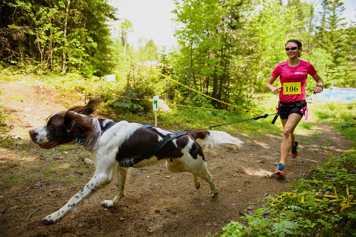 Esta modalidad deportiva con perros se puede practicar corriendo o en bicicleta.