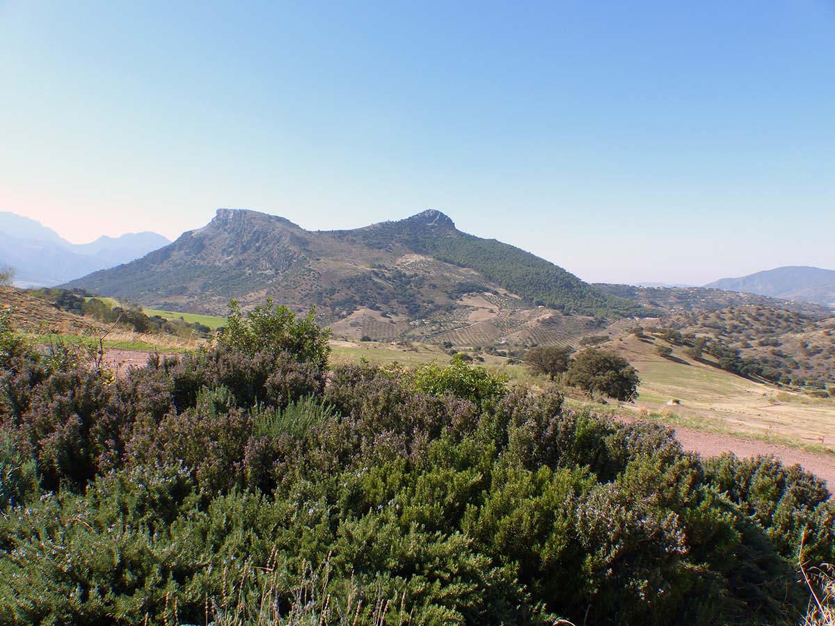 Por estos parajes se puede disfrutar de la naturaleza realizando largos paseos.