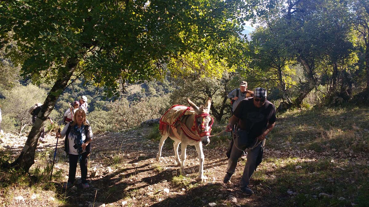 Decenas de personas participaron en la V Ruta Arriera ‘Serranía de Ronda’ que discurrió entre Grazalema y El Bosque