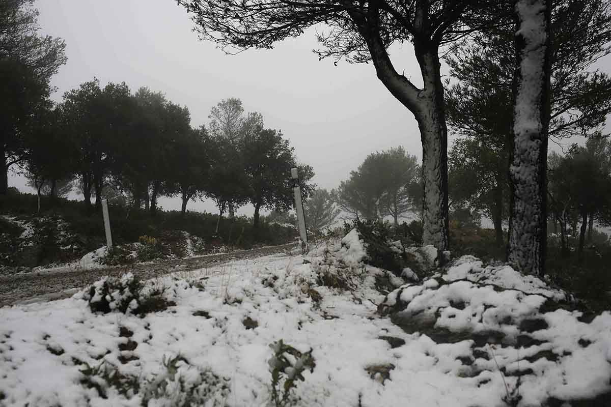 Imagen de la primera nevada de la temporada tomada en el carril de Tolox.