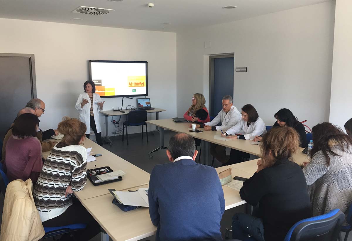Un momento de la reunión de esta comisión de Participación Ciudadana en el ámbito sanitario.