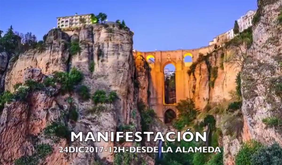 El Puente Nuevo es el protagonista del vídeo que ha elaborado la Plataforma contraria a su corte.