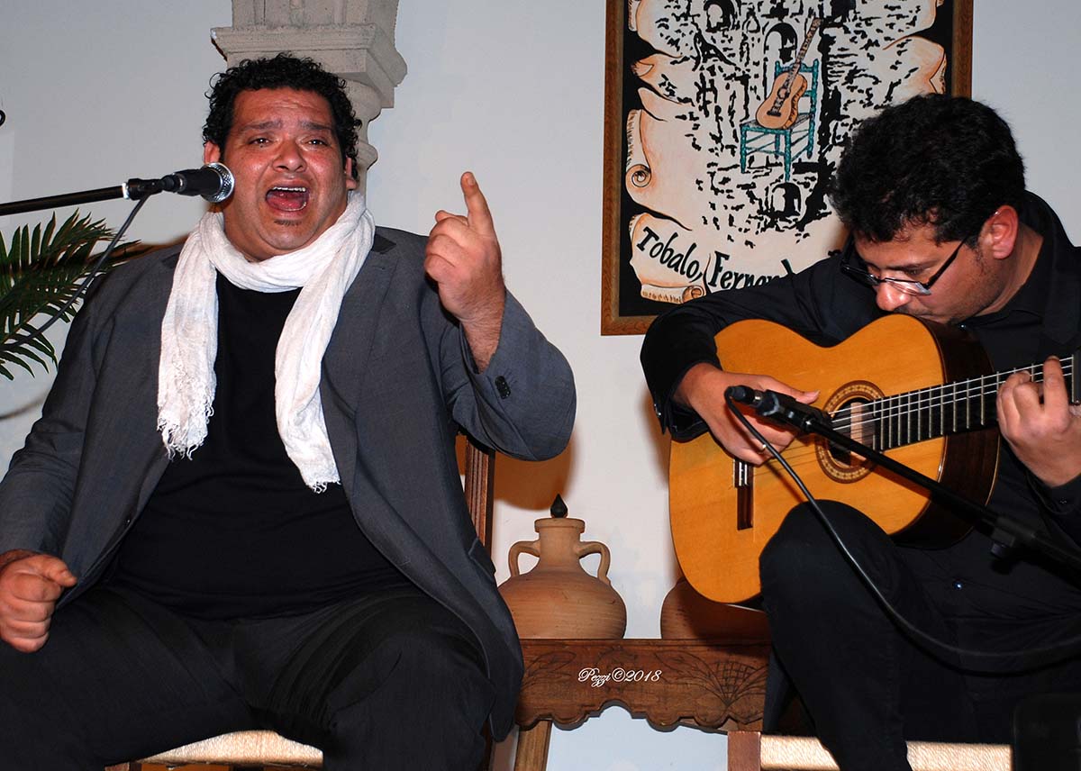 Un momento de la actuación en la Peña Flamenca de Ronda, Foto Pezzi.
