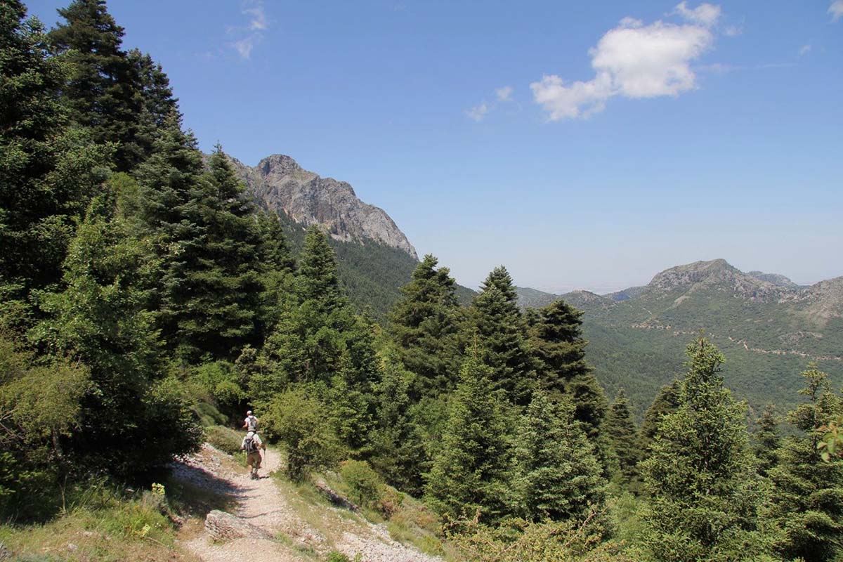 Imagen del Parque Natural Sierra de Grazalema. Foto: El Ecoturista.
