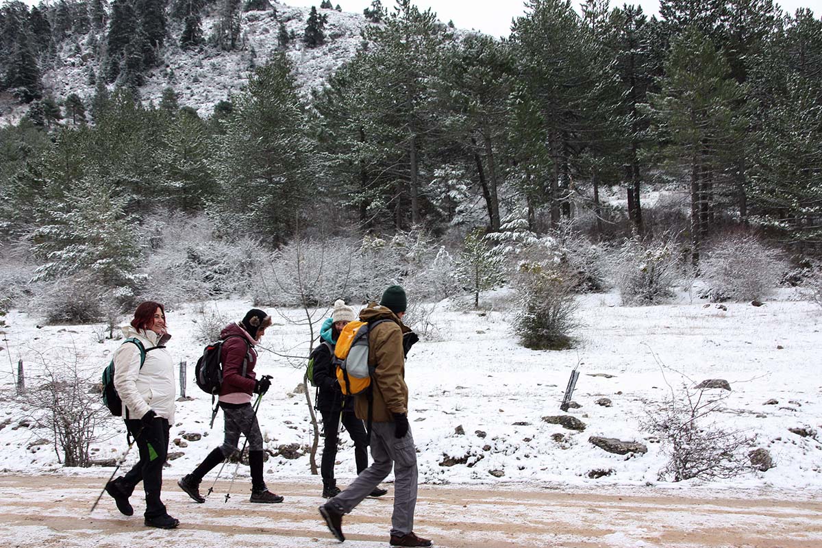 Grupo de visitantes recorriendo el Parque Nacional Sierra de las Nieves. Foto Archivo.
