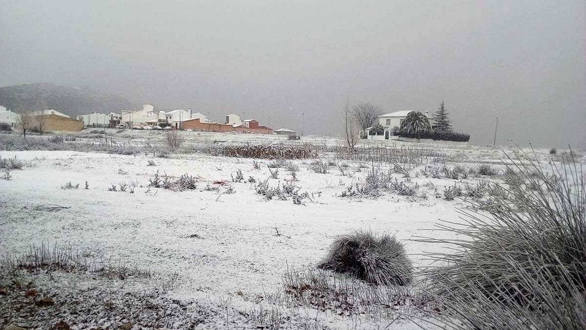 Una intensa y rápida nevada sorprende a los vecinos de Cuevas del Becerro y cubre el municipio serrano