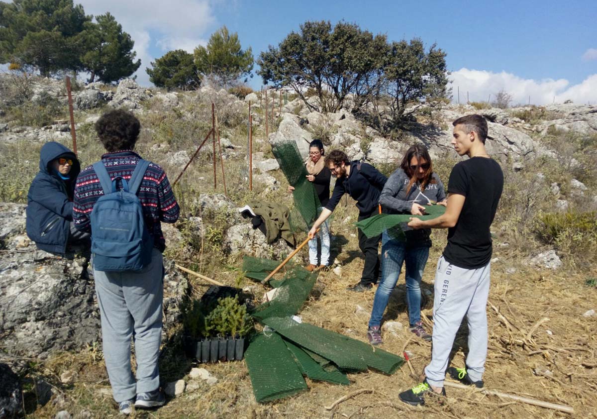 Potencian la presencia de pinsapos en Parauta con la plantación de cien ejemplares