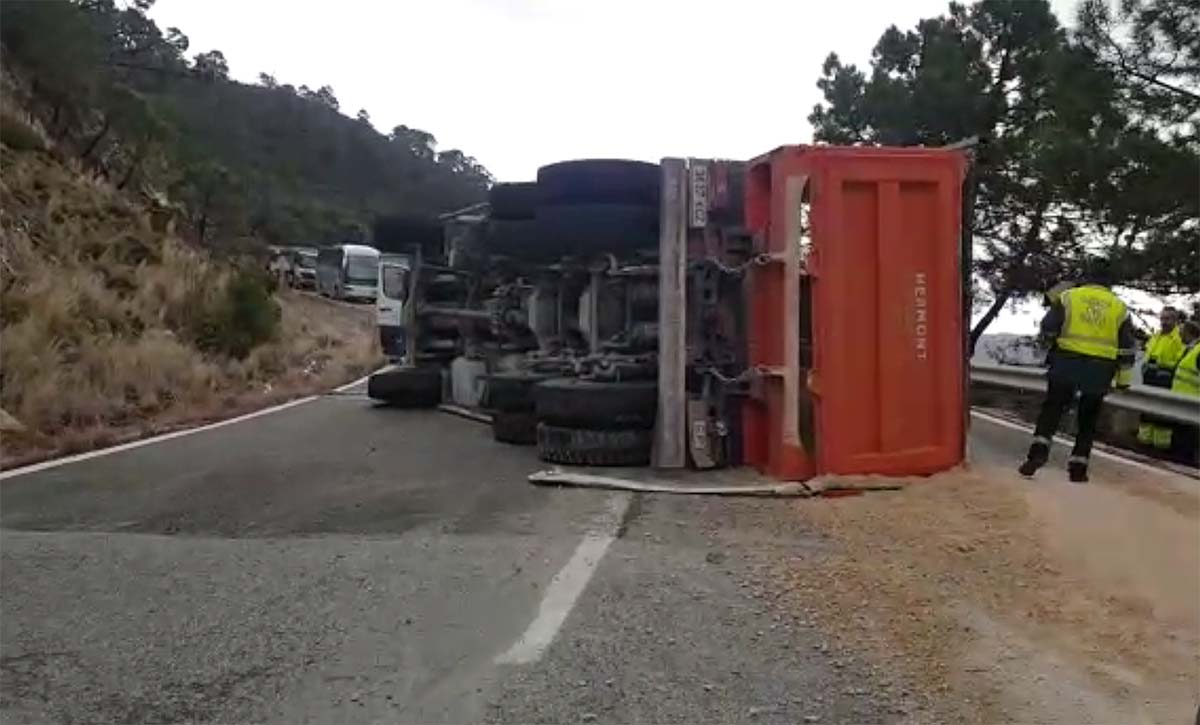 El vuelco del camión ha tenido lugar en el kilómetro 33, en el término de Benahavís.