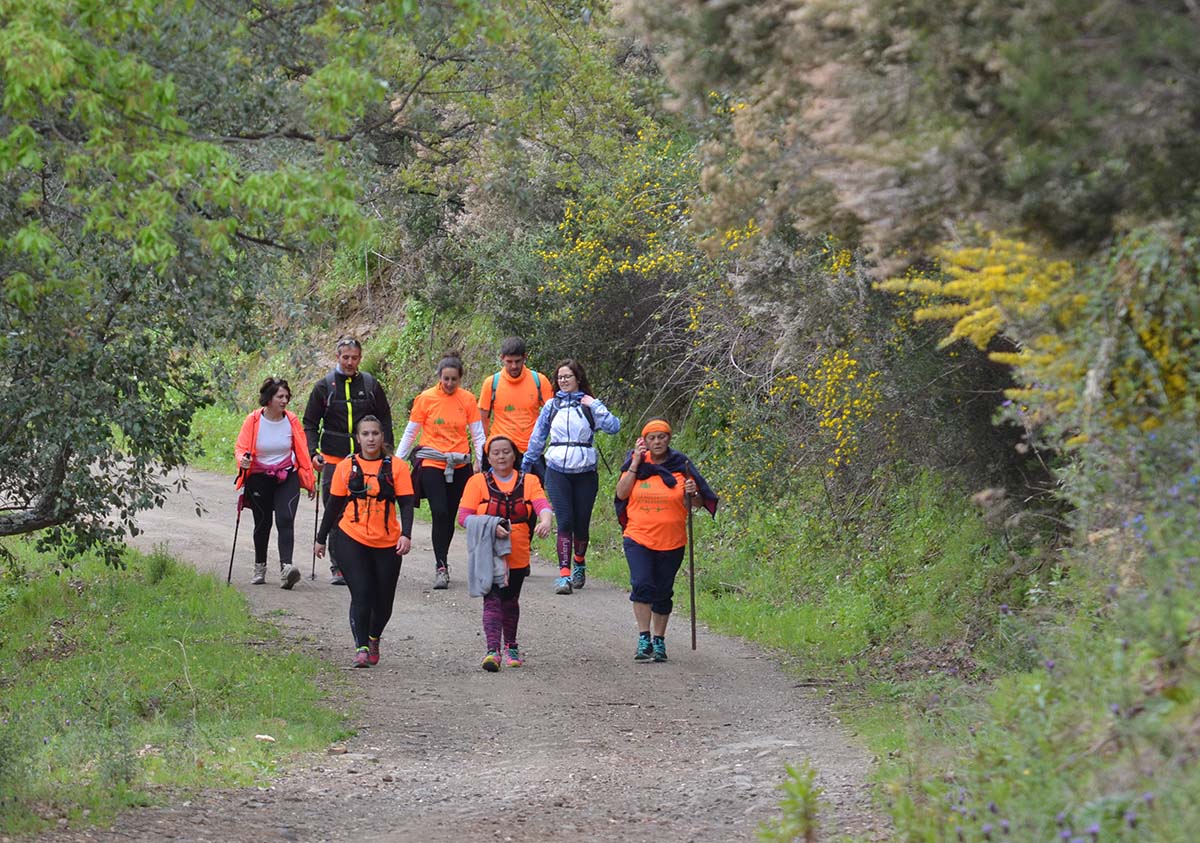 Un grupo de senderistas recorriendo parajes de la Serranía de Ronda.