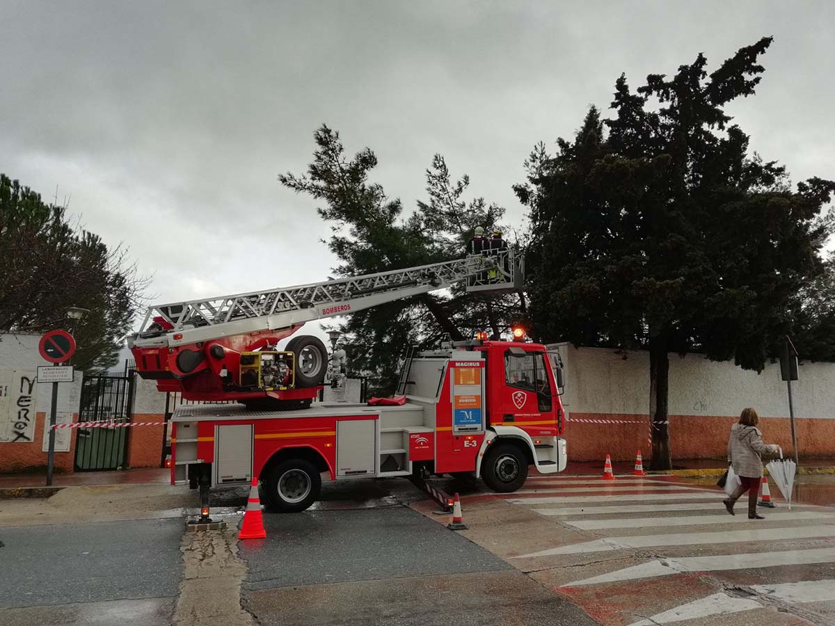 Los bomberos han retirado un árbol que estaba a punto de caer en el instituto Martín Rivero.