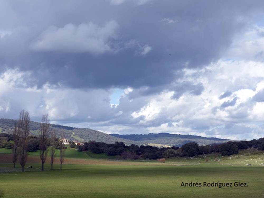 Parajes de Las Navas en la Serranía de Ronda. Foto Andrés Rodríguez.