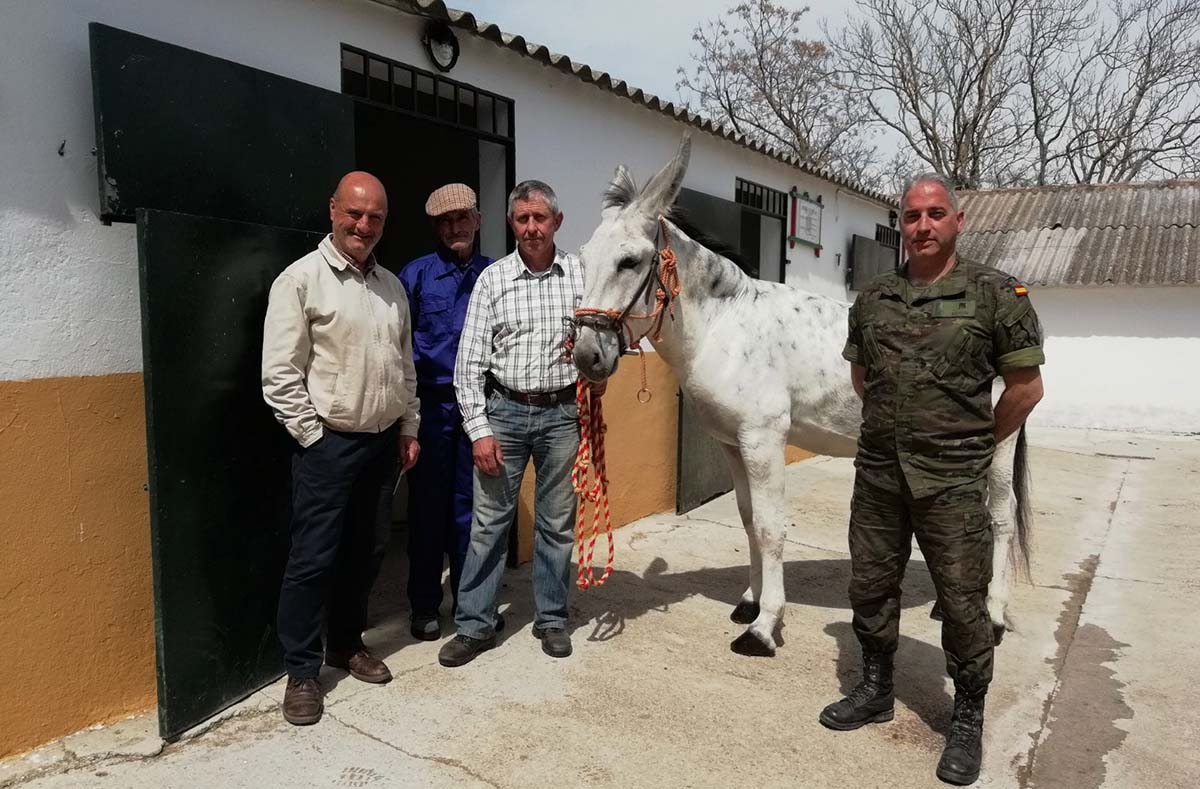 Presentación de la campaña de la parada de sementales de Ronda.