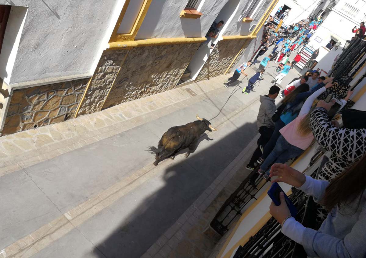 Más de 10.000 personas se dan cita en Gaucín para correr el Toro de Cuerda del Domingo de Resurrección