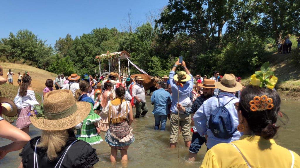 El Simpecado de la Hermandad de Ronda en el momento que cruza el vado del río Quema. Foto Paco Mena.