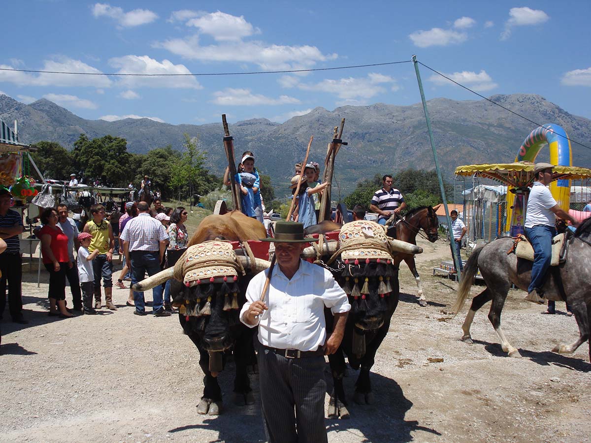 La tradicional romería se celebra en la pedanía de Siete Pilas.