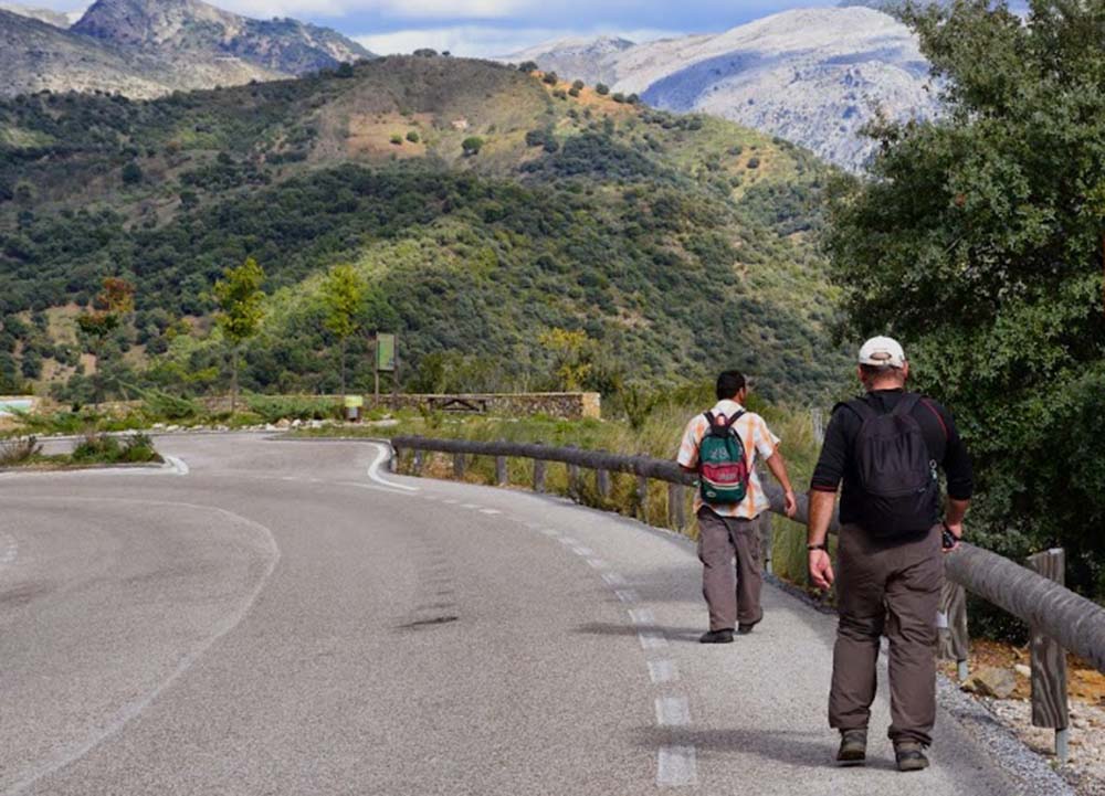 Un tramo de la carretera paisajística Ronda-Gaucín.