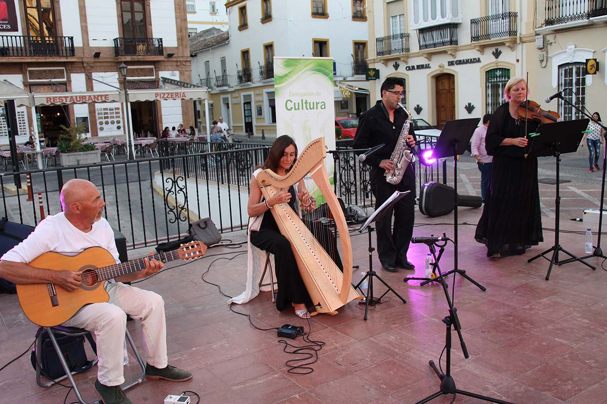 Las distintas actuaciones tuvieron lugar en la plaza del Socorro.