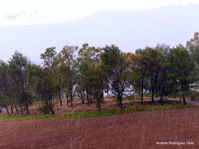 Imagen de la granizada caída en la Serranía a finales de mayo. Foto Andrés Rodríguez.