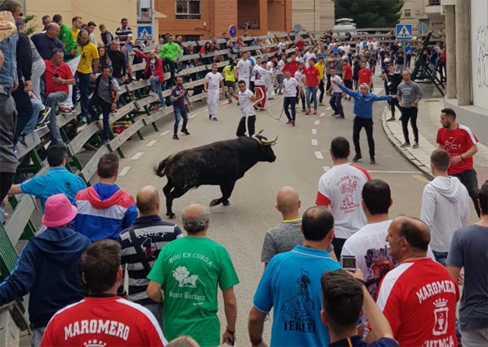 Gaucín participa en el XV Congreso Nacional del Toro de Cuerda celebrado en Cuenca