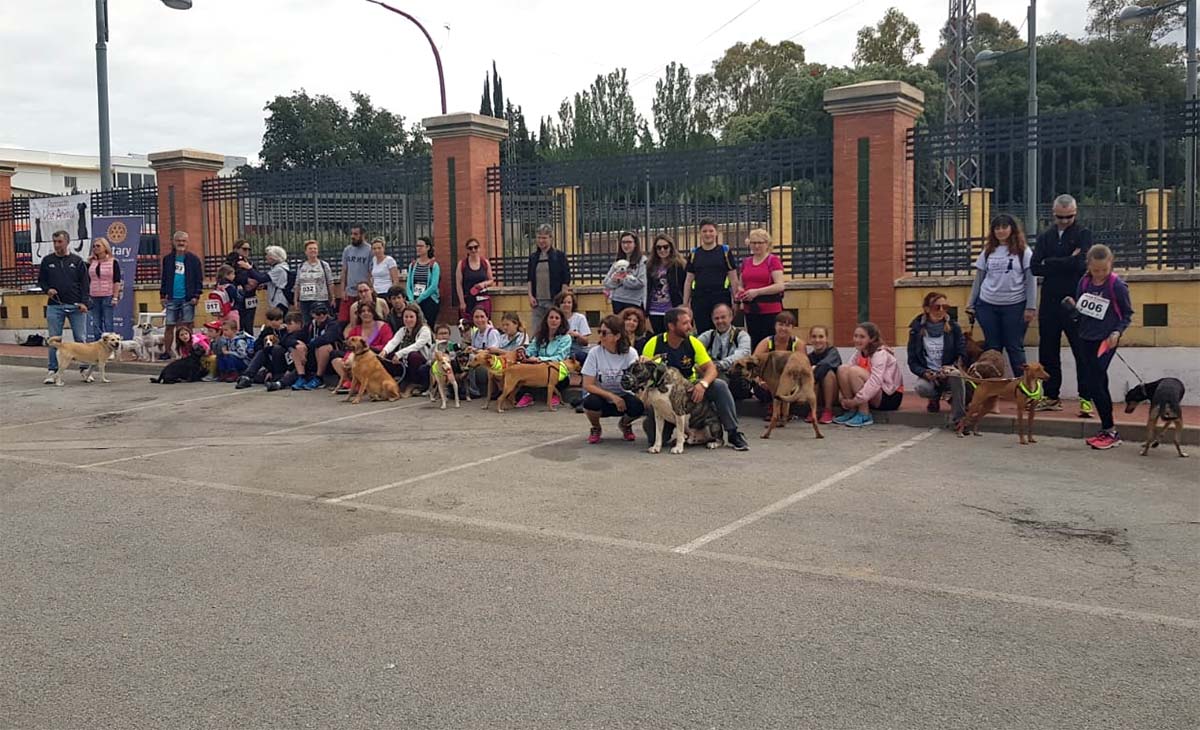 Decenas de personas, con sus mascotas, participan en la I Ruta Canina Ciudad de Ronda
