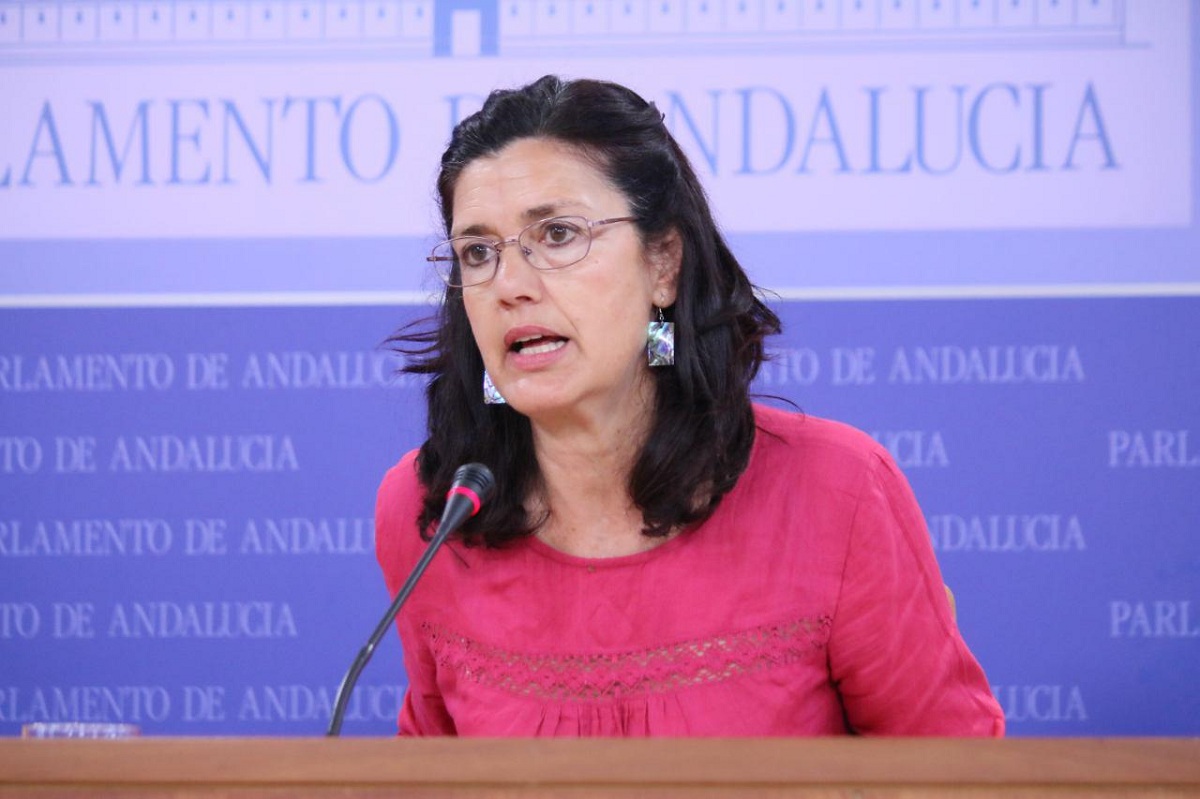 La parlamentaria andaluza de EQUO-Podemos Carmen Molina en una rueda de prensa.