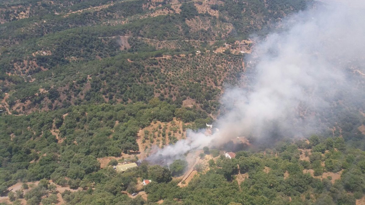 El incendio se ha declarado en el paraje de La Pedrera, en Jubrique. Foto Infoca.
