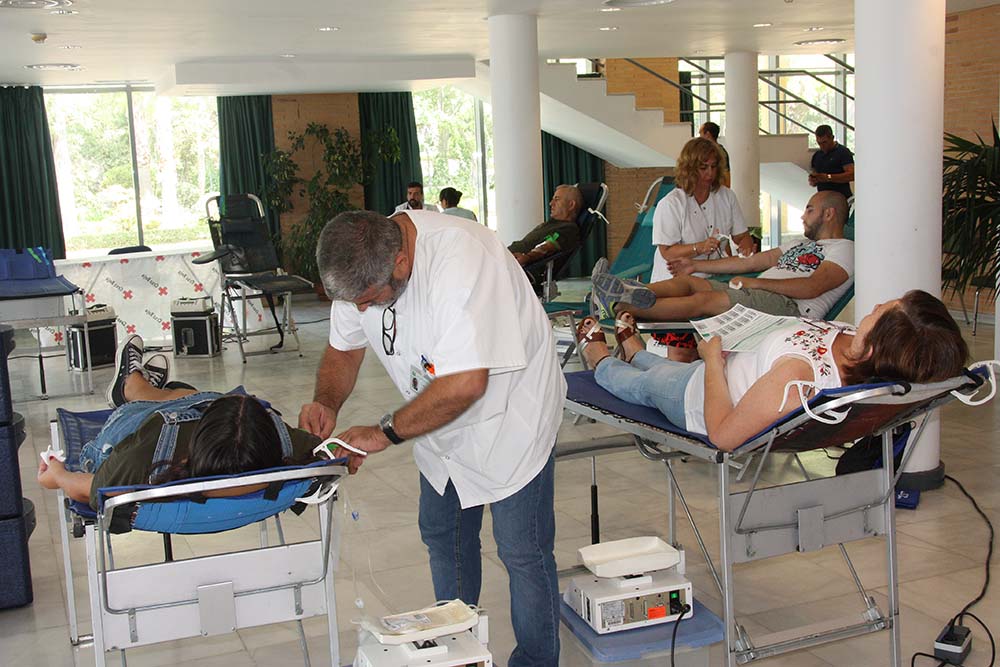 Cruz Roja organizan una nueva campaña de donación de sangre, plasma y médula