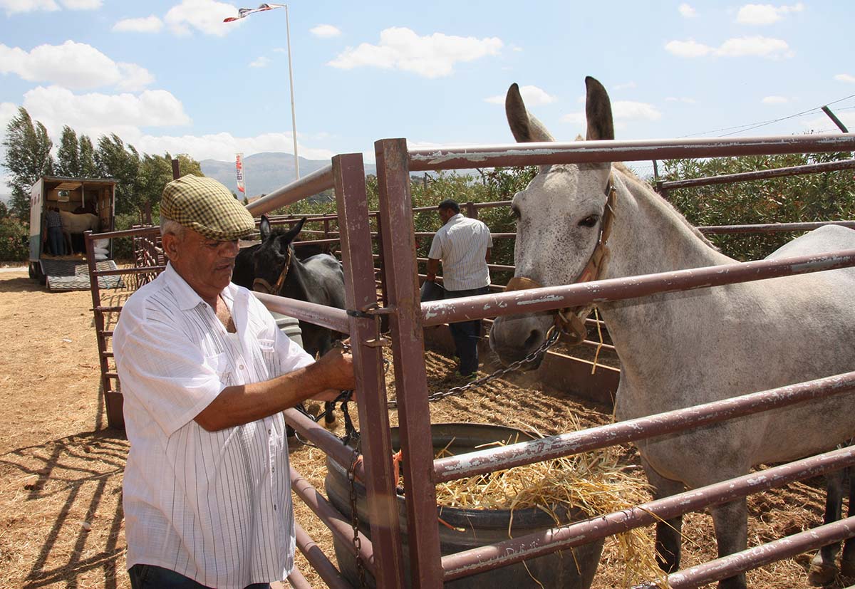 Real Feria de Mayo: Tradición, campo y fiesta en una edición clave para la comarca
