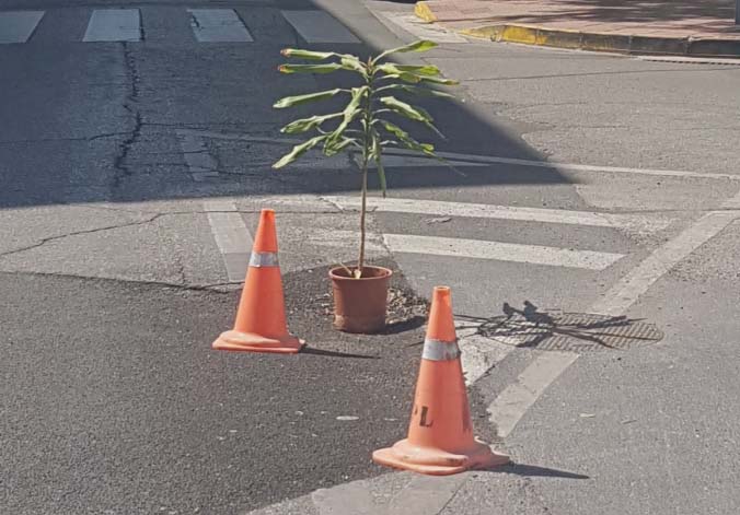 El macetero ha aparecido hoy en el lugar en el que se encuentra el socavón.