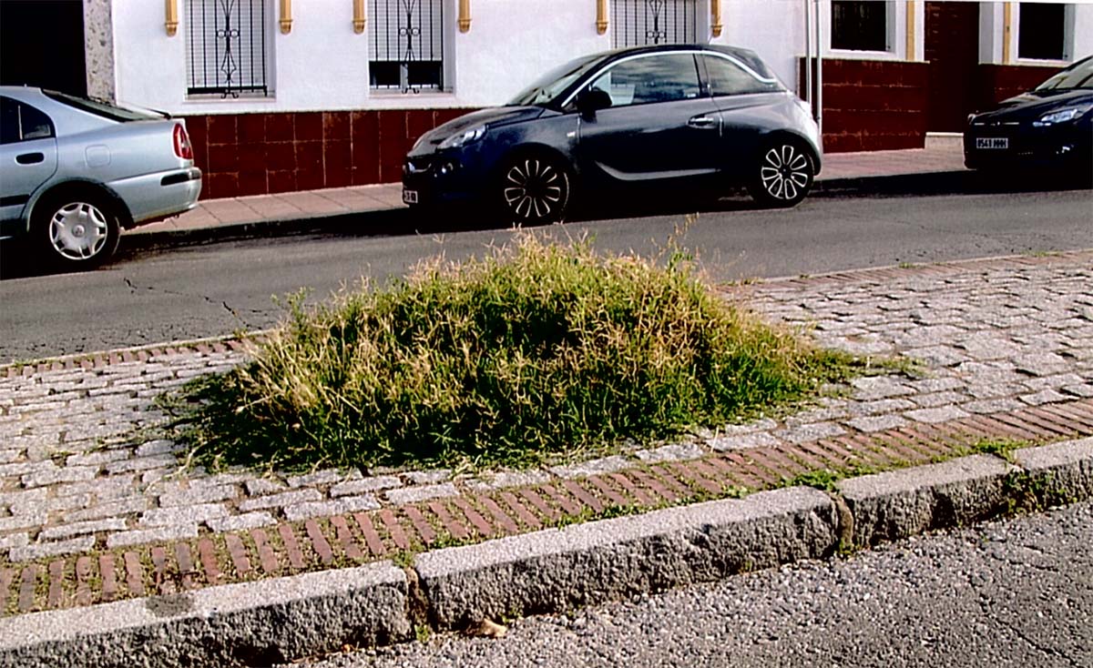 Imagen actual que presenta la isleta de la avenida Ricardo Navarrete.