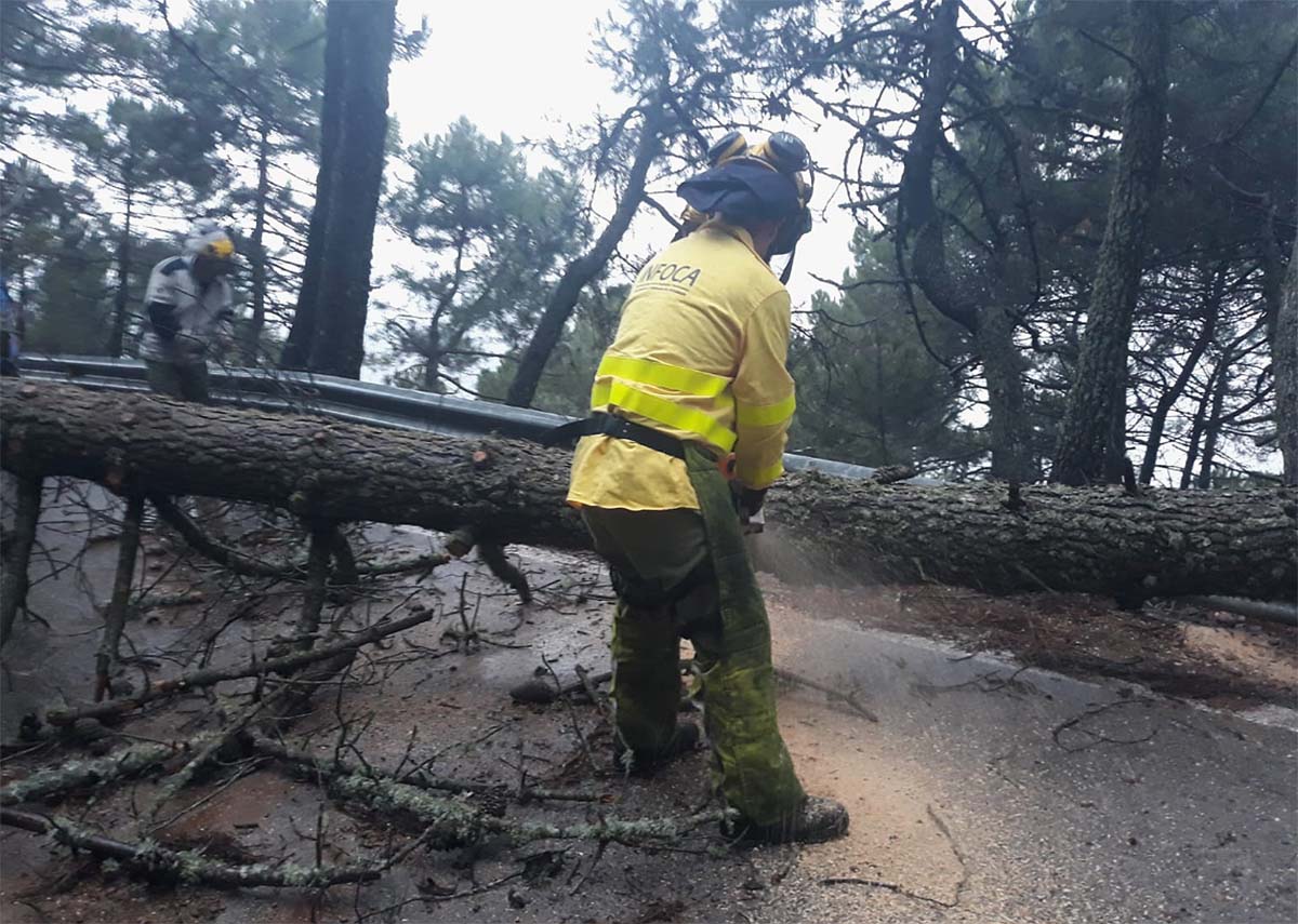 Bomberos forestales retiran un árbol caído en una de las carreteras afectadas por el temporal.