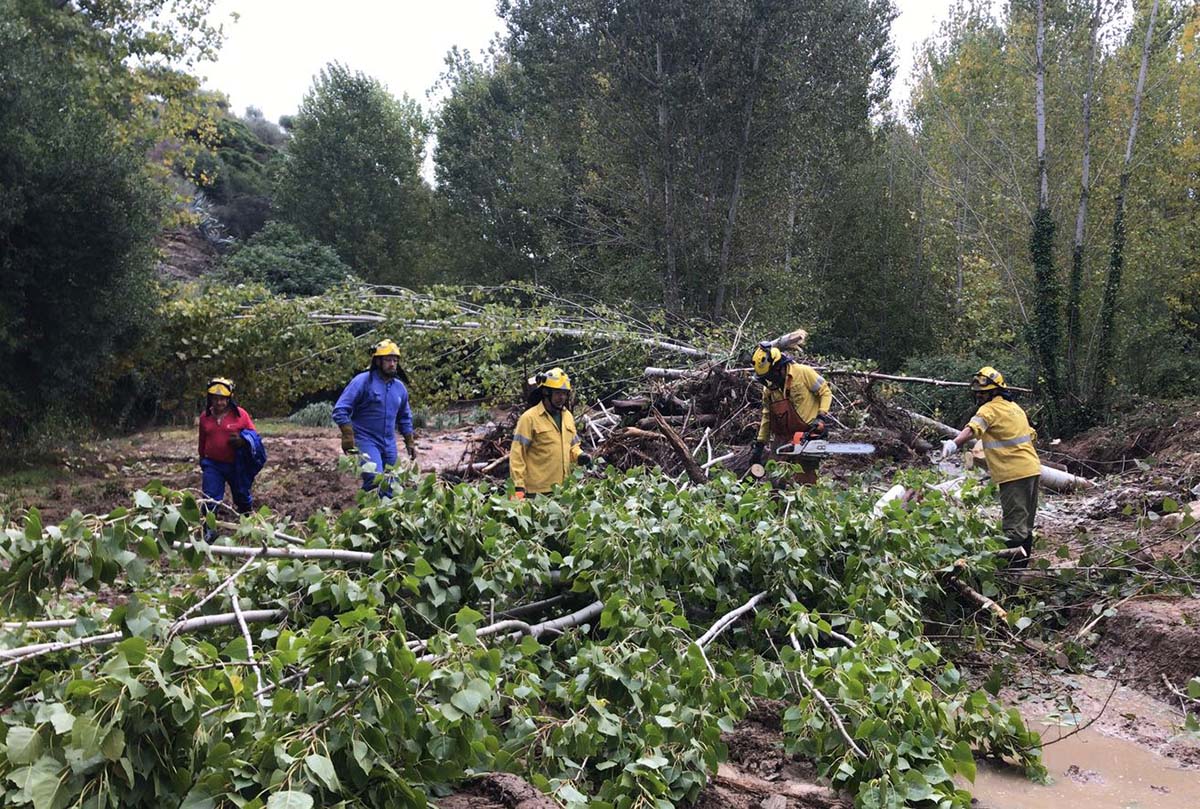 Bomberos forestales del Infoca retiran arboleda y maleza arrastrada en el arroyo de La Ventilla.