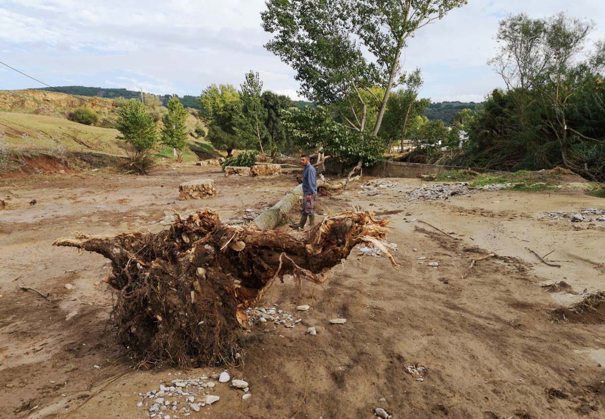 Así quedaron unos cultivos situados en La Indiana tras ser arrasados por la crecida de agua del 21 de octubre.