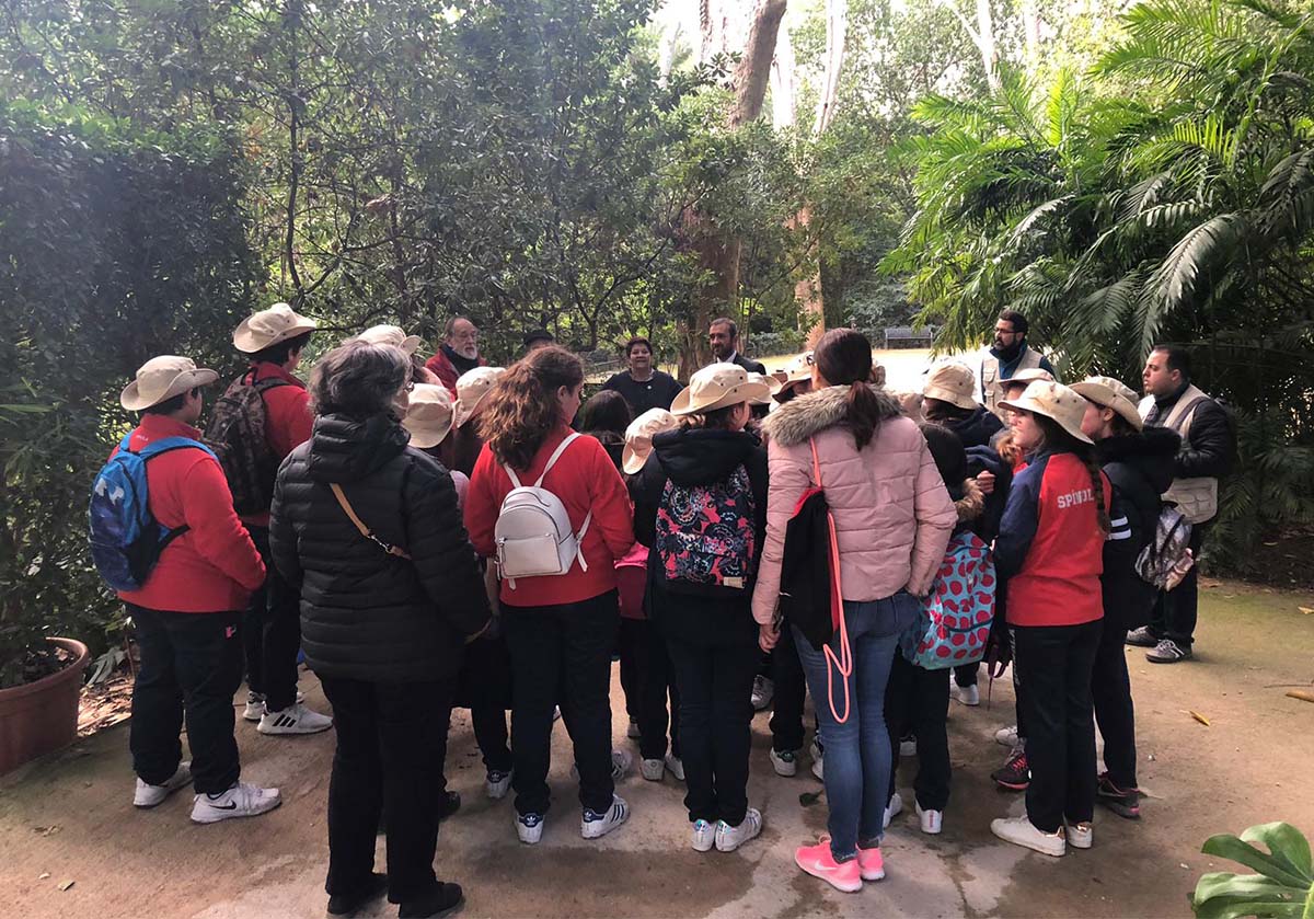Los premios se han entregado esta mañana en los jardines de la Concepción de Málaga.