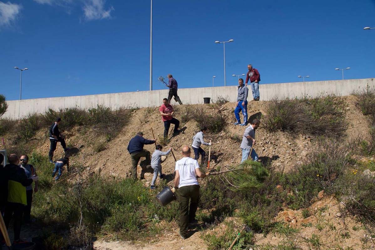 Voluntarios en la primera repoblación en los alrededores del nuevo Hospital. Foto Prensa Ayuntamiento de Ronda.