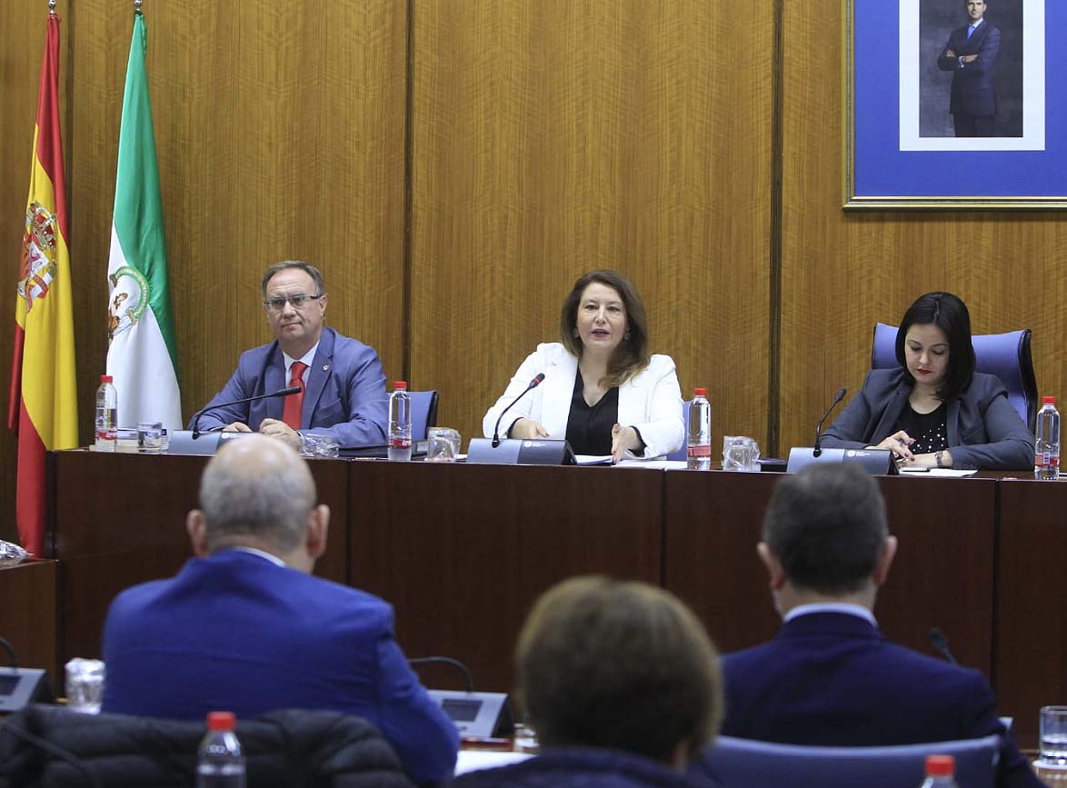 Carmen Crespo en su primera intervención en la comisión parlamentaria.