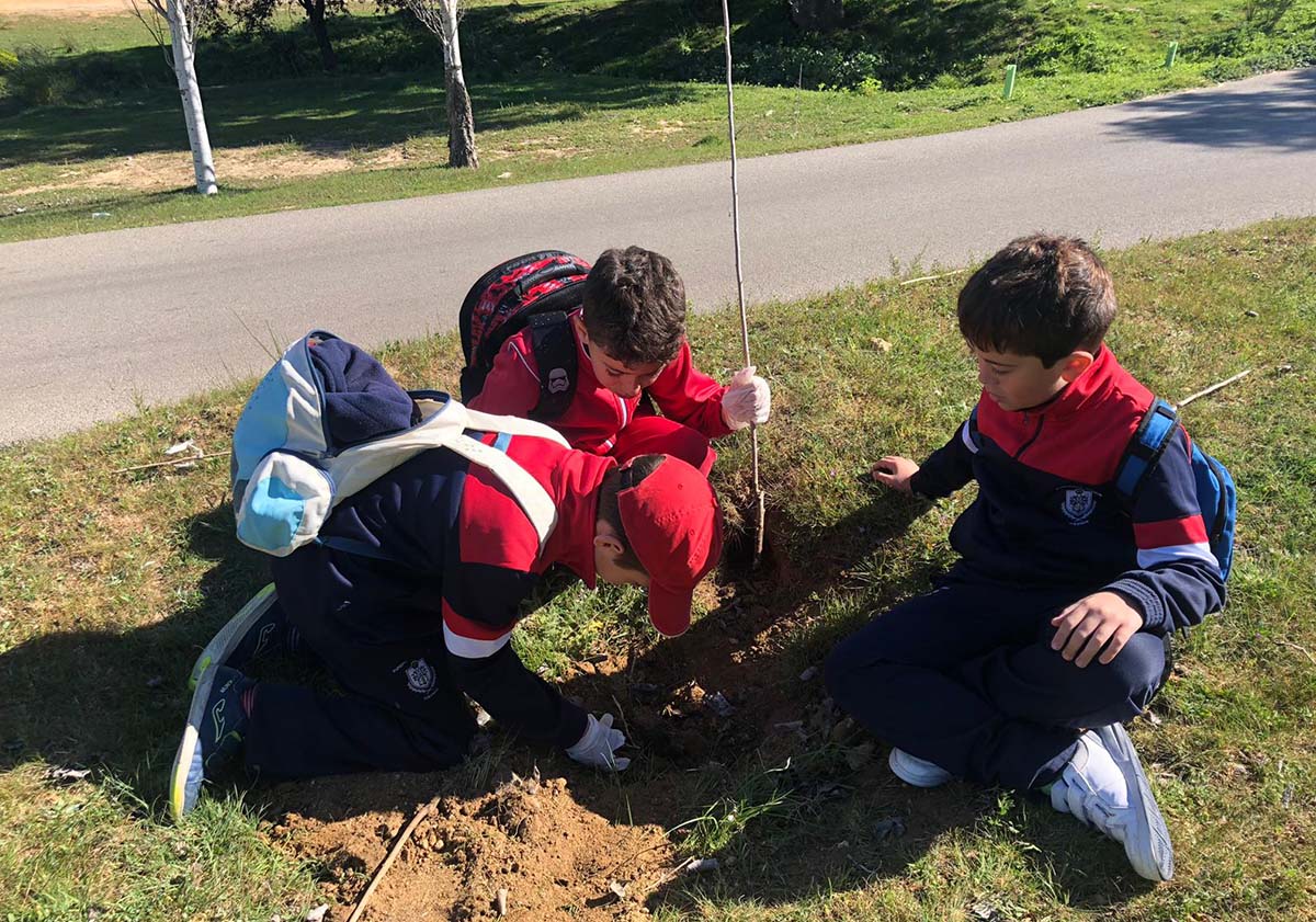 Tres alumnos del colegio Juan de la Rosa en la plantación de árboles.