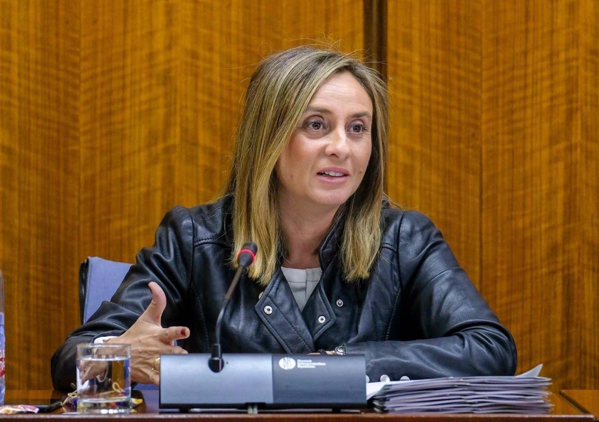 La consejera de Fomento, Marifrán Carazo, en una reciente rueda de prensa.
