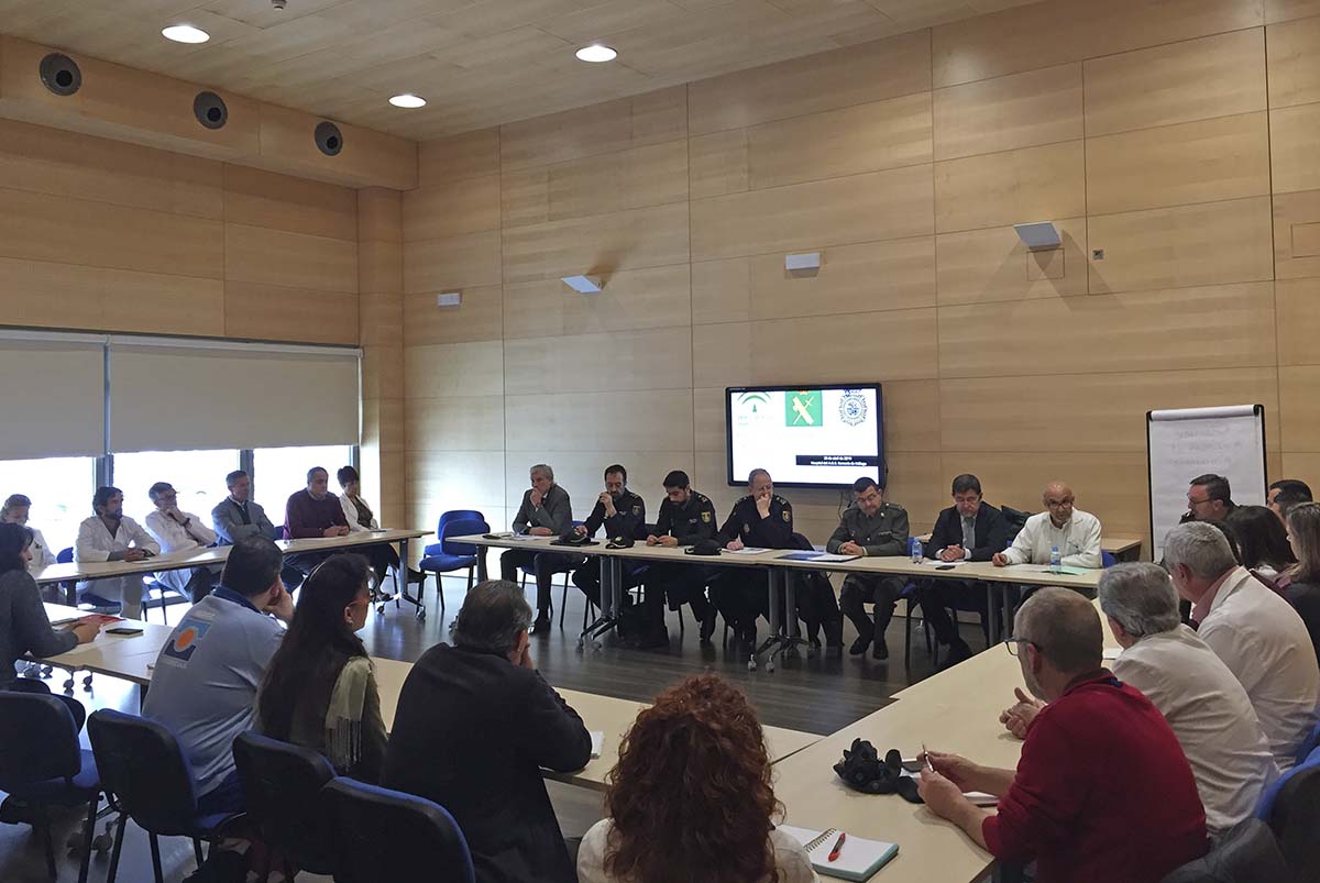 Momento del encuentro mantenido entre responsables de sanidad y de los cuerpos de seguridad de Ronda.